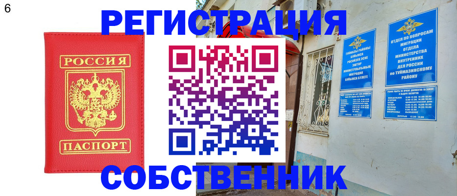 прописка поиск в Курске